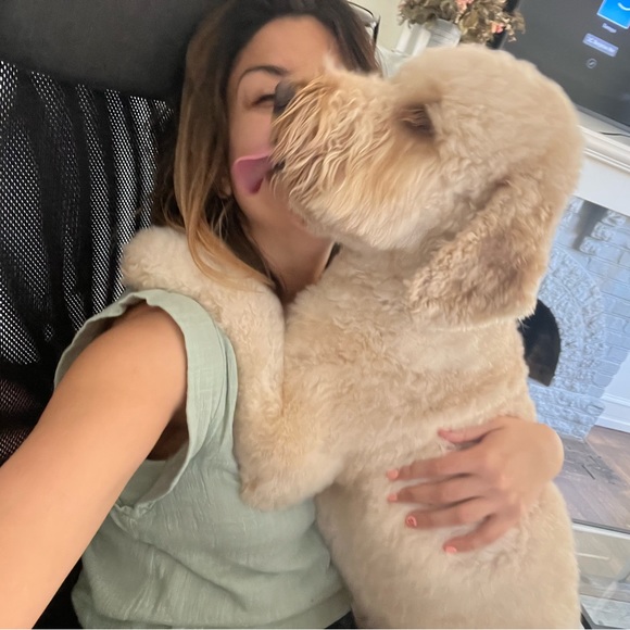 camilatx